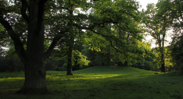 In the middle of the green...