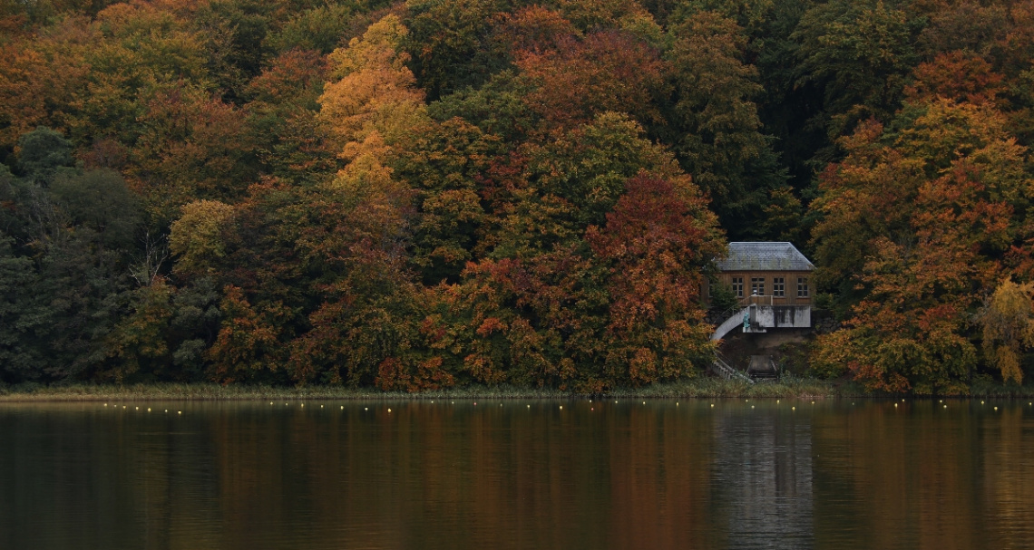 Some of the autumn colors