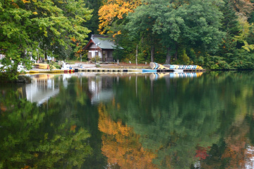 reflection