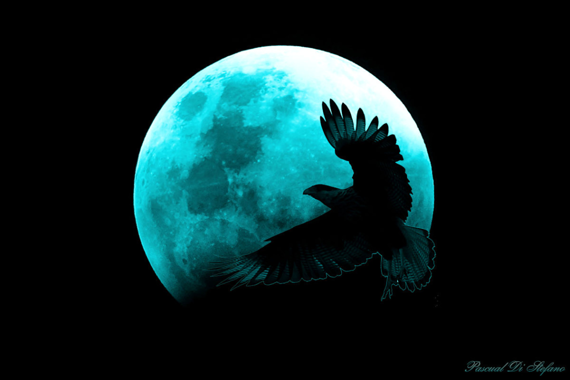 Moonlight shadows