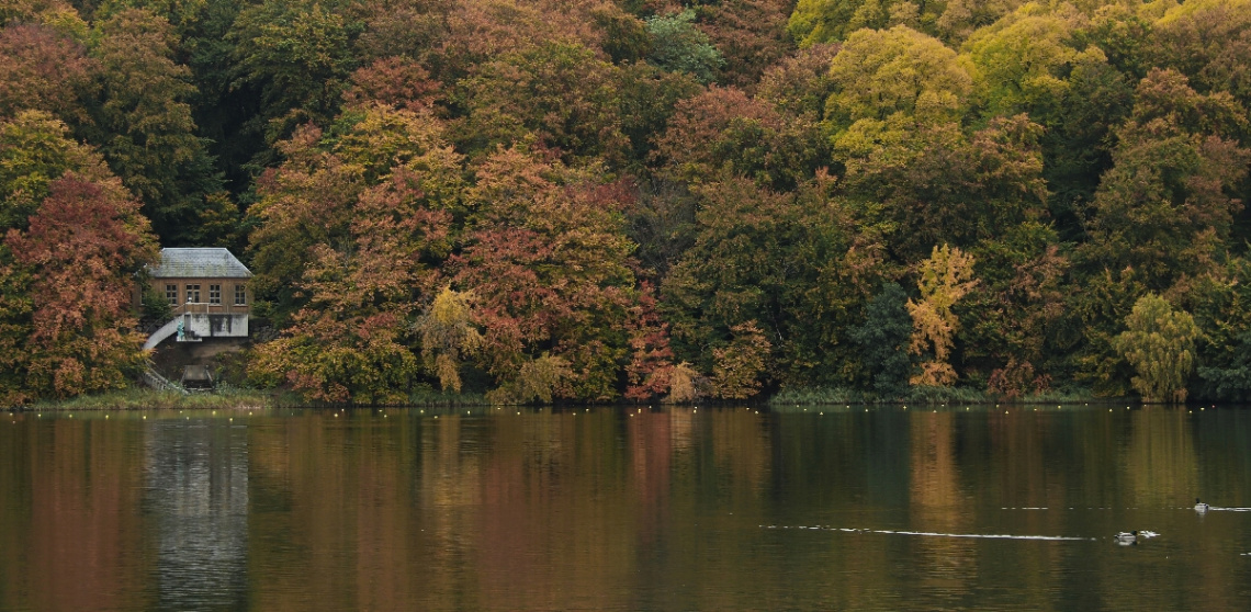 Colors in the season