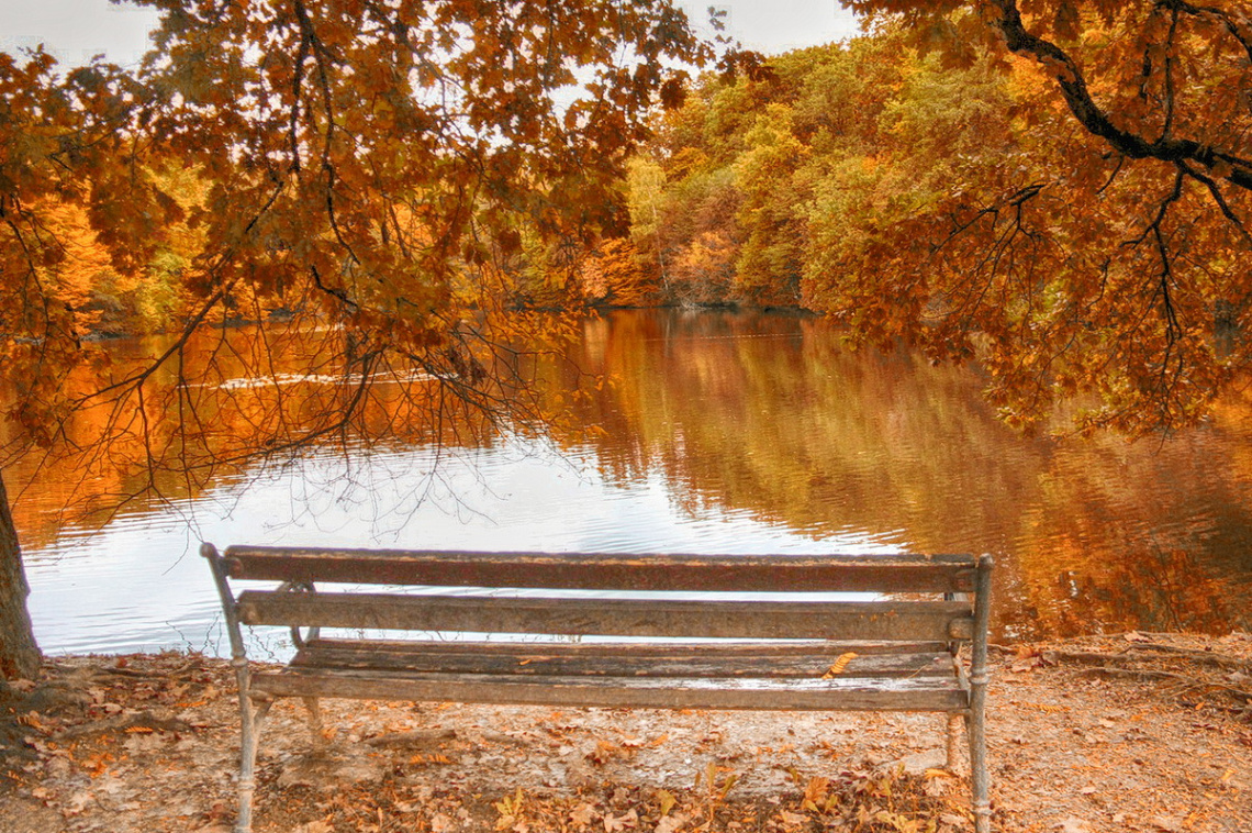 Bench on the lake