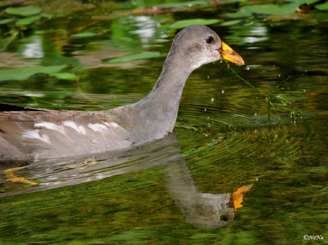 Sliding with reflection