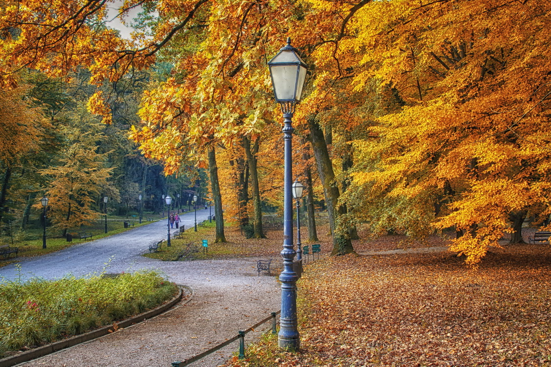 Autumn in city park