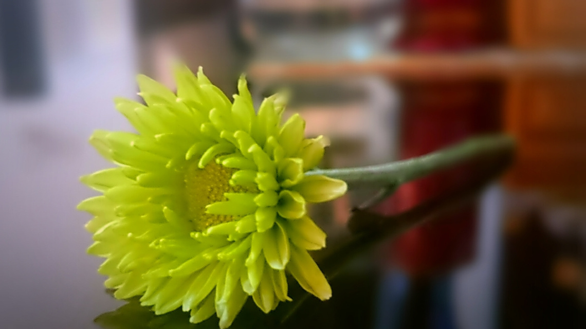 Good Evening Friends 