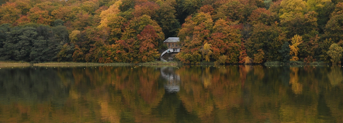 Autumn view