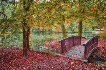Across the creek