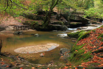 Suuçtuda Sonbahar 03