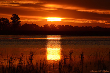 Sunset on fire