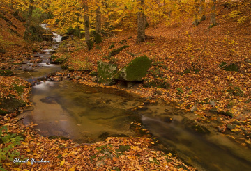 Huzur ve Sukunet Mekanı: Suuçtu