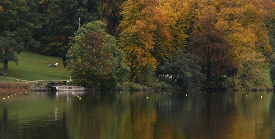 Autumn view