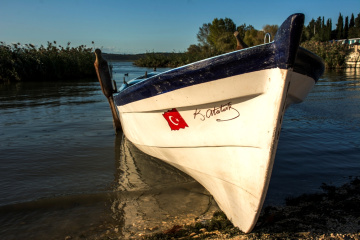 Cumhuriyetçi Sandal