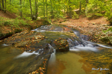 Suuçtu Sonbahara Doğru...