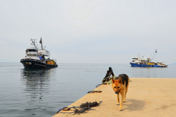 İSKELENİN YALNIZI........