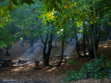 GOLDAĞI