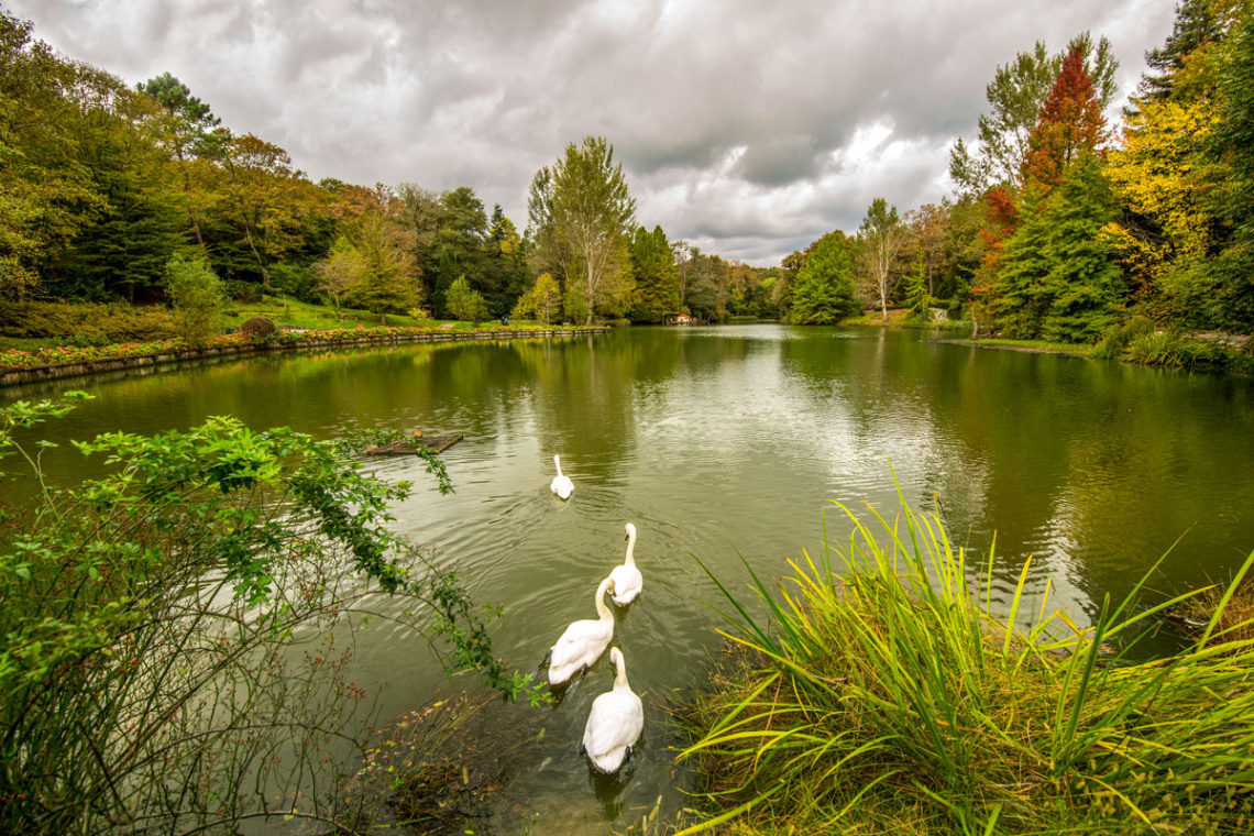 Atatürk Arboretumu