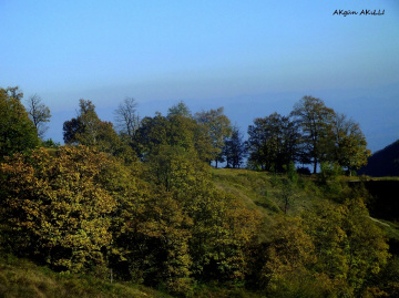 DOĞA