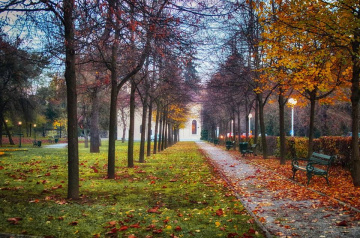Autumn in the  city park