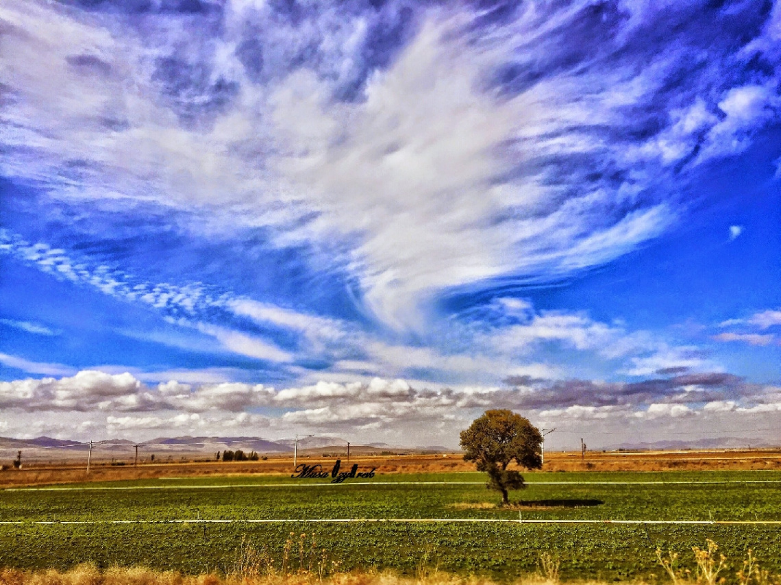Yalnızlık