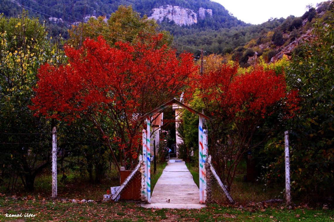 Şirin bir yayla evi