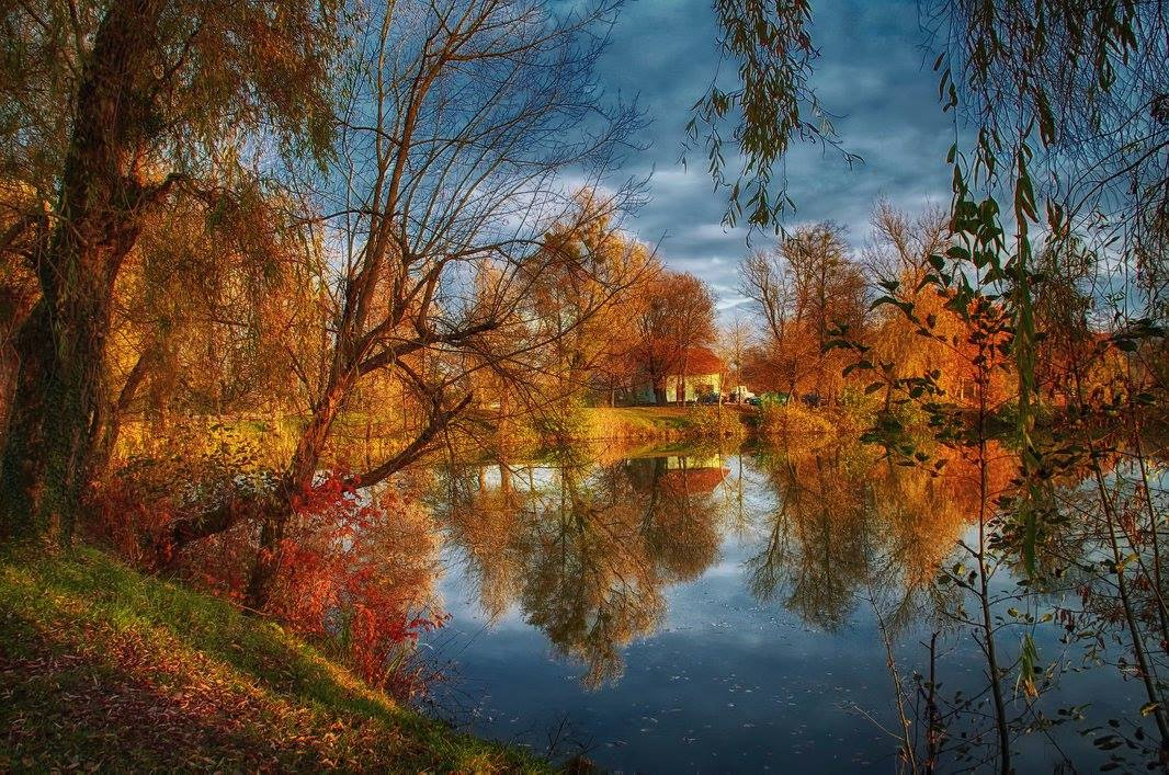 Autumn on the lake
