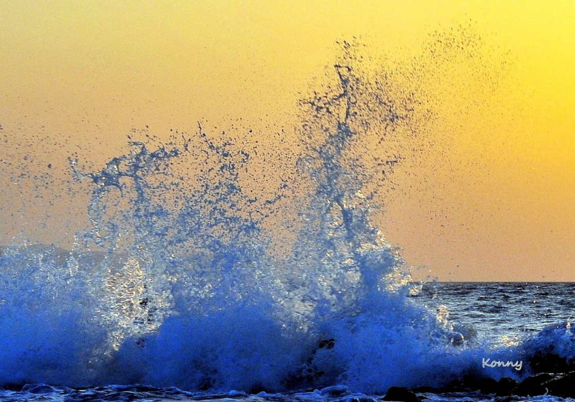 the wave ..