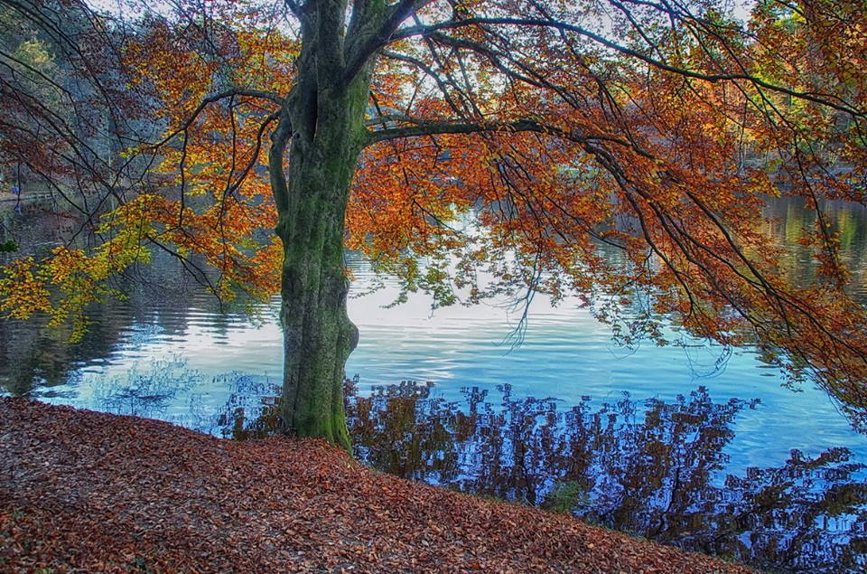 Over the lake