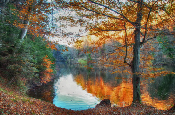 Orange Lake