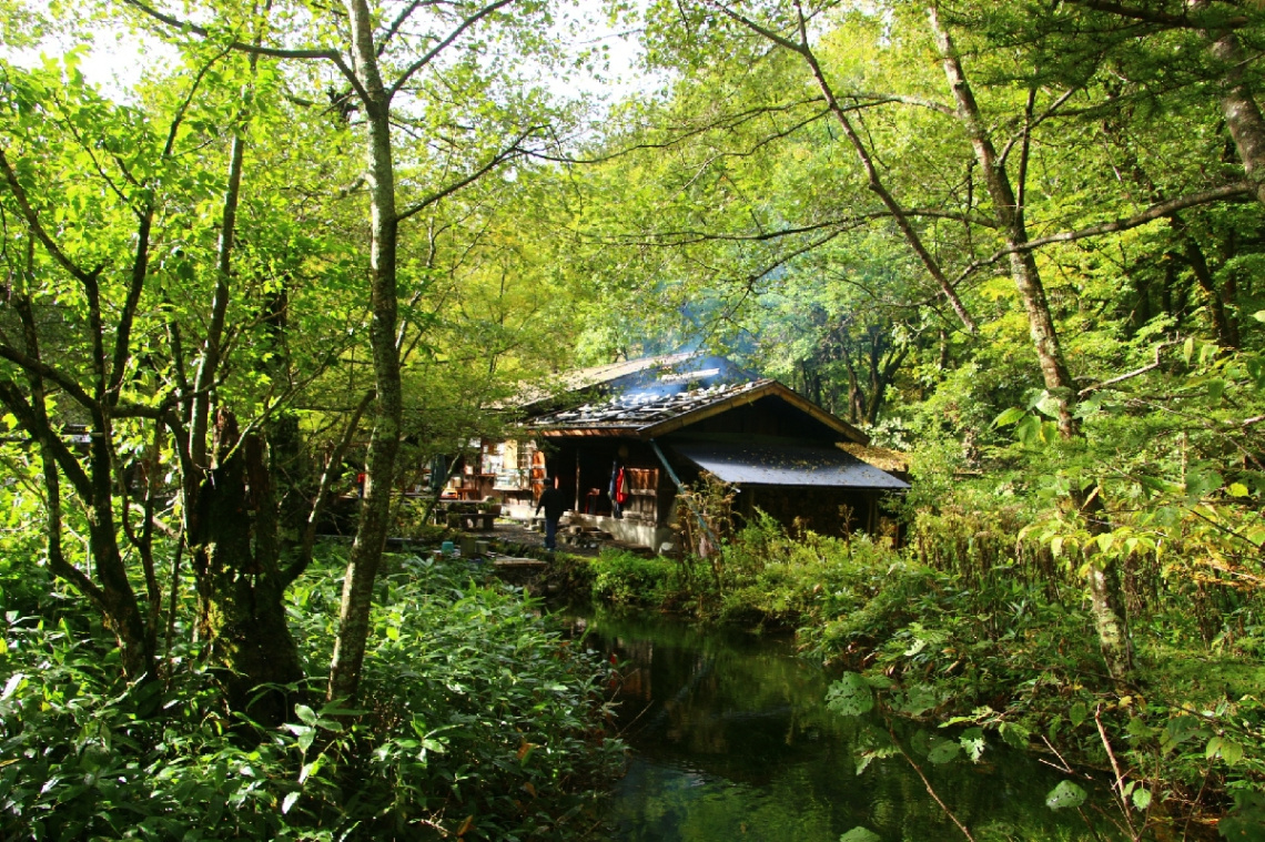 Hut in green