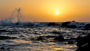 the beach 