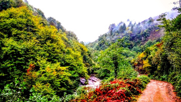 Karadeniz doğası