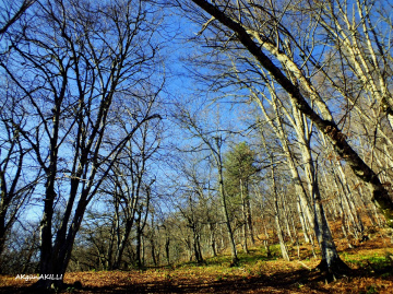 DOĞA İLE 