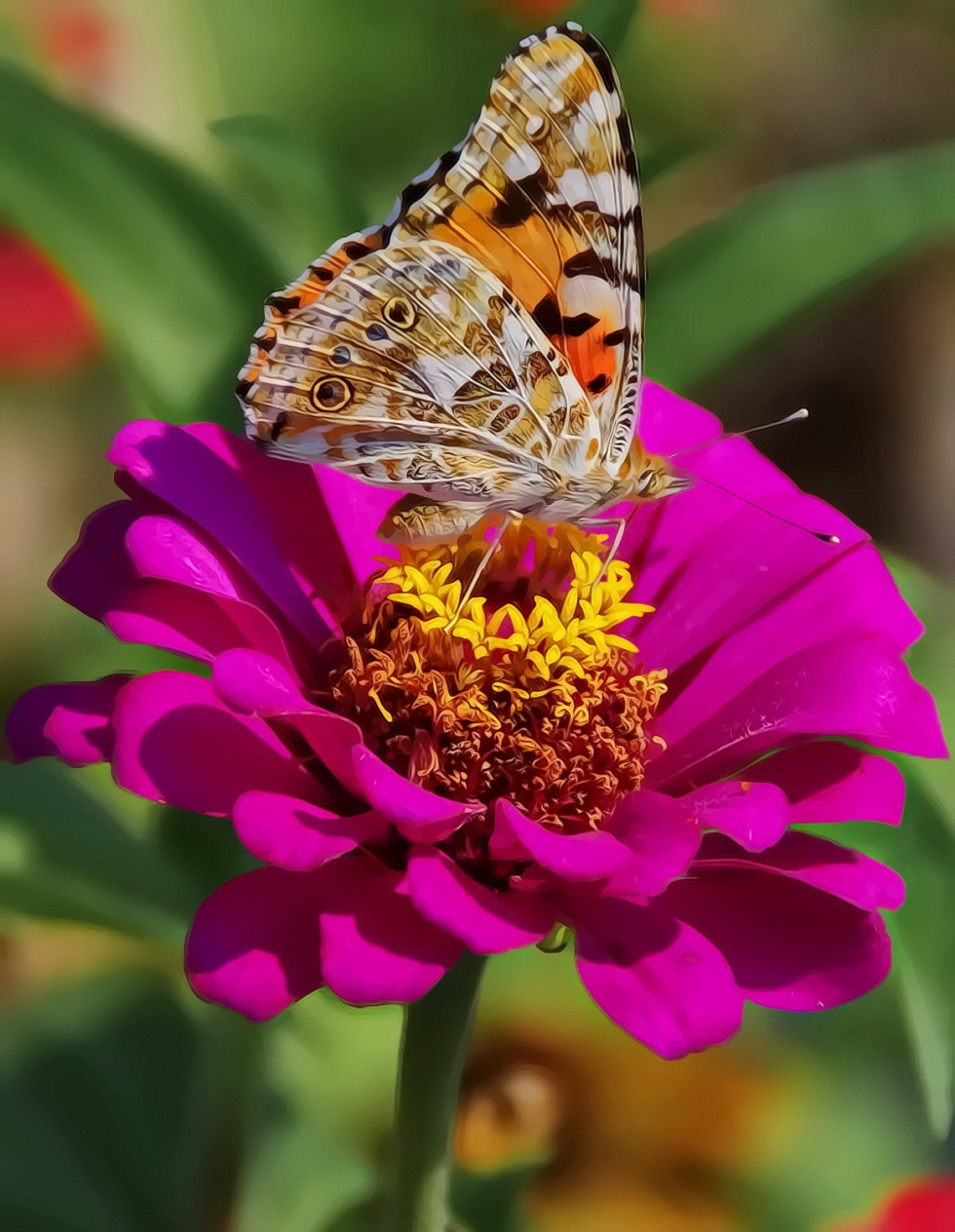 Summer butterfly