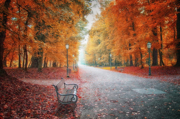 Autumn in the city park