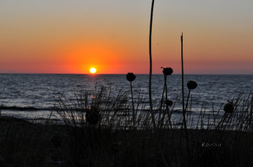 sunset at the beach 