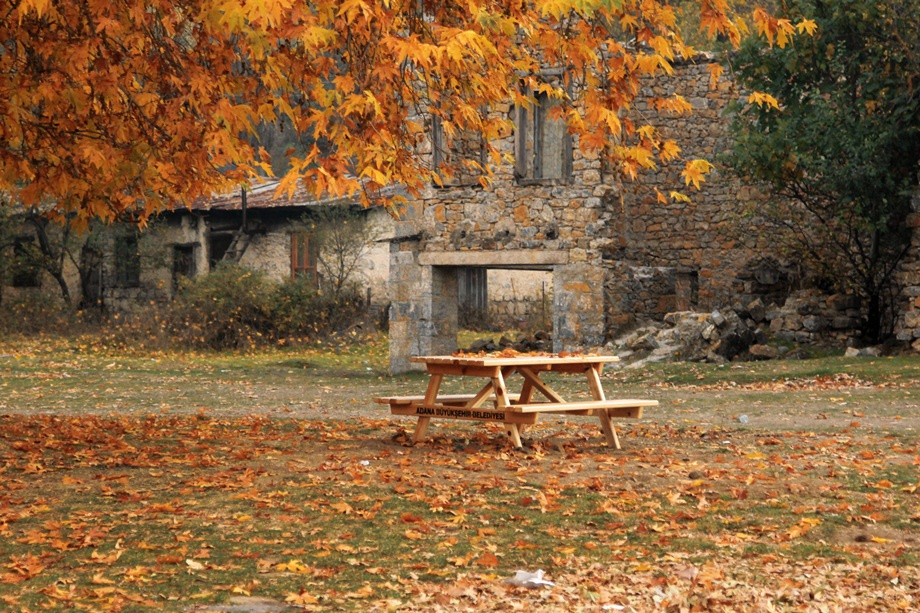 Kasım