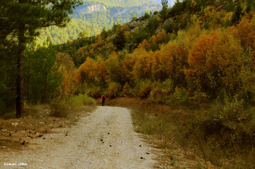 Mystrious way