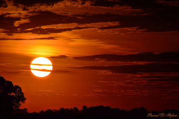 Sunset on the plain
