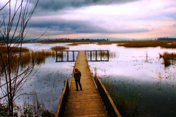 Efteni Gölü - Efteni Lake