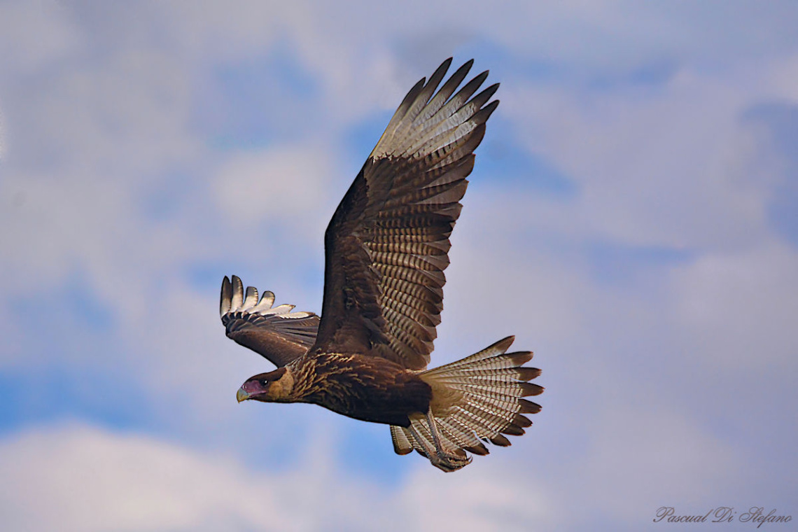 The majestic of heaven