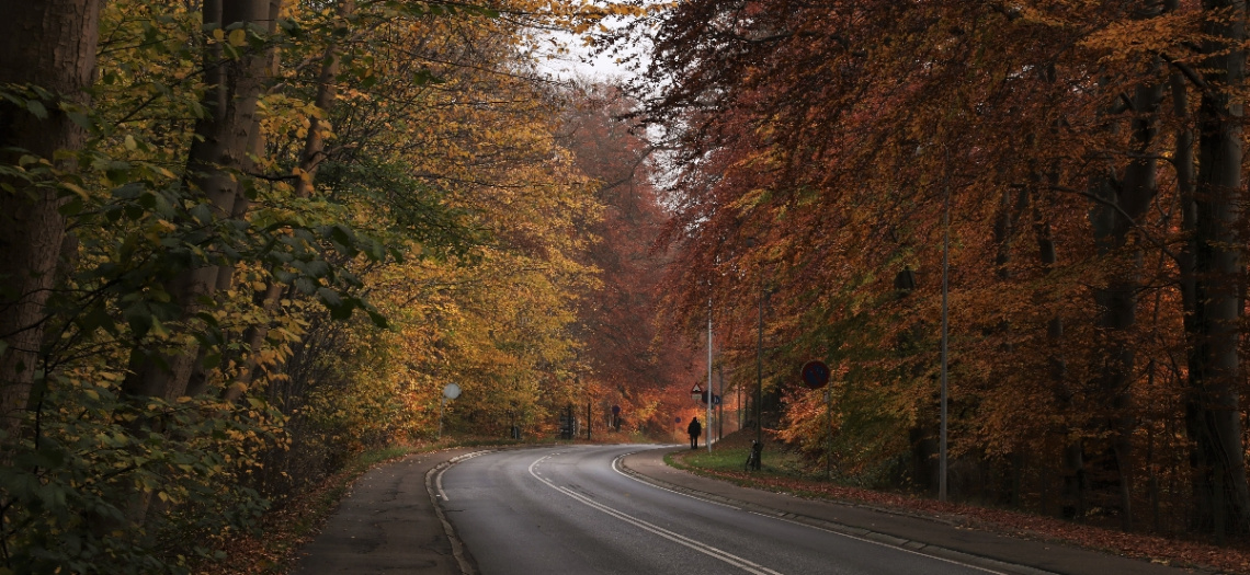 Autumn colors