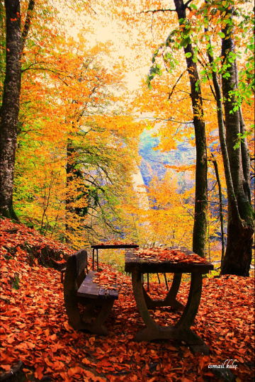 SONBAHARIN RENKLERİ