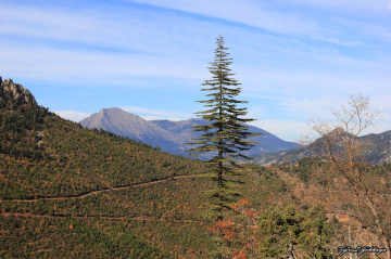 Doğa