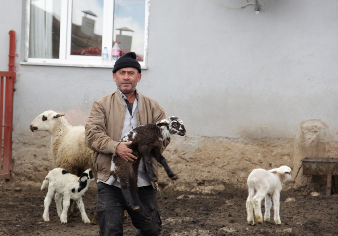 Kuzularım