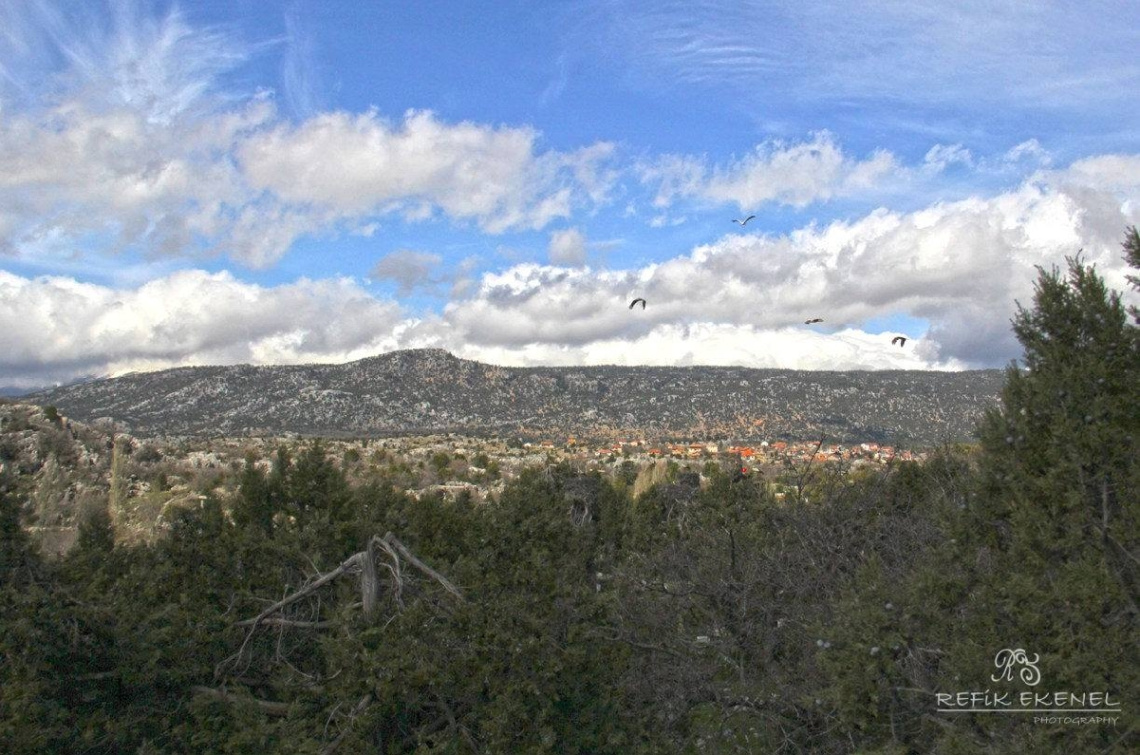 Doğadan