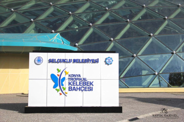 Kelebekler Vadisi