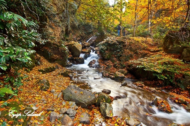 Oylat