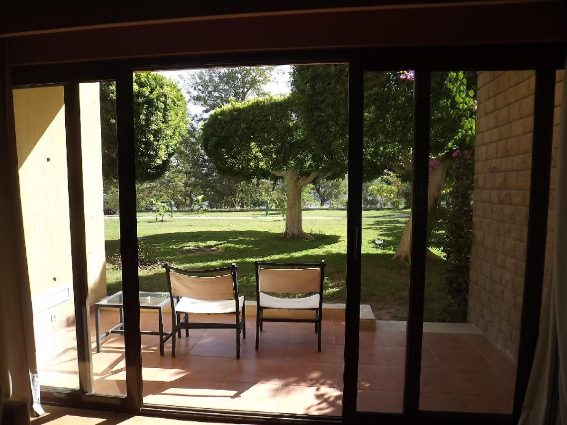 Egypt  - Aswan - SUNNY MORNING