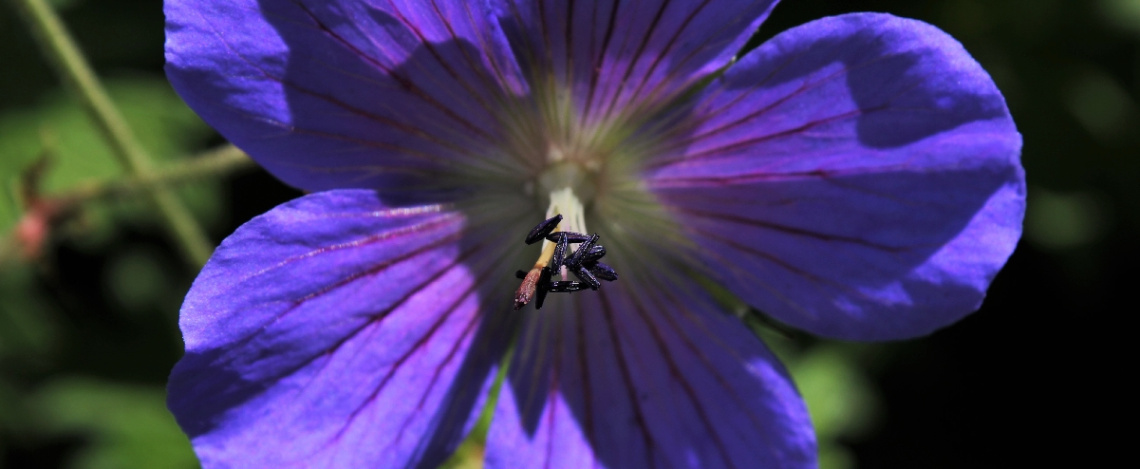 On a sunny summer day