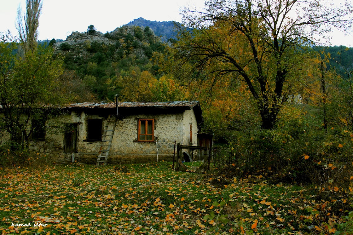 Huzurun tarifi